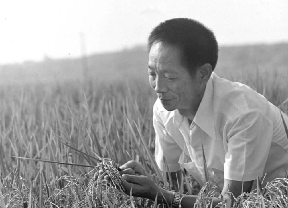 世界粮食日，我们格外怀念他